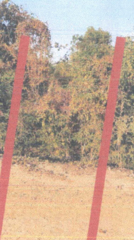 ที่ดินเปล่า สุพรรณบุรี ด่านช้าง หนองมะค่าโมง 15150