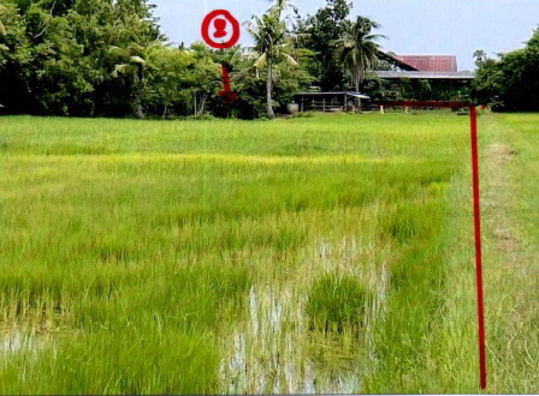 บ้านเดี่ยว บุรีรัมย์ เมืองบุรีรัมย์ หนองตาด 1744800