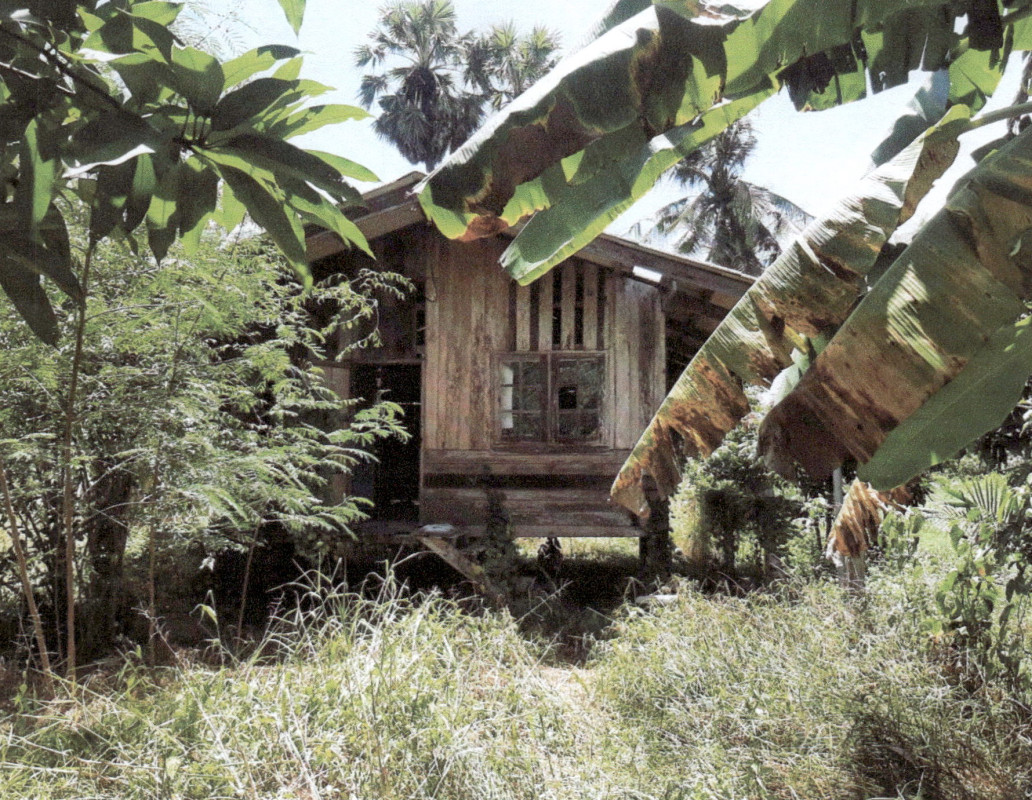 บ้านเดี่ยว พัทลุง เมืองพัทลุง ชัยบุรี 153225