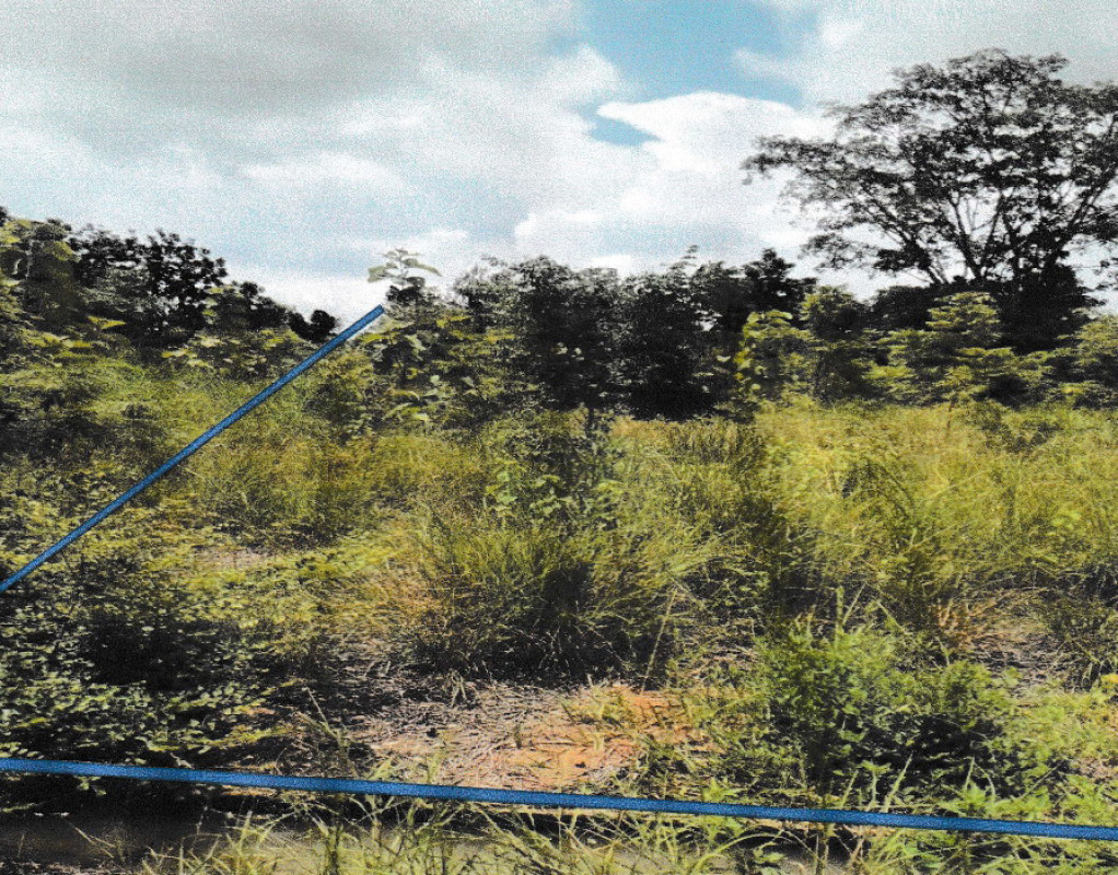 ที่ดินเปล่า นครราชสีมา พระทองคำ มาบกราด 31500