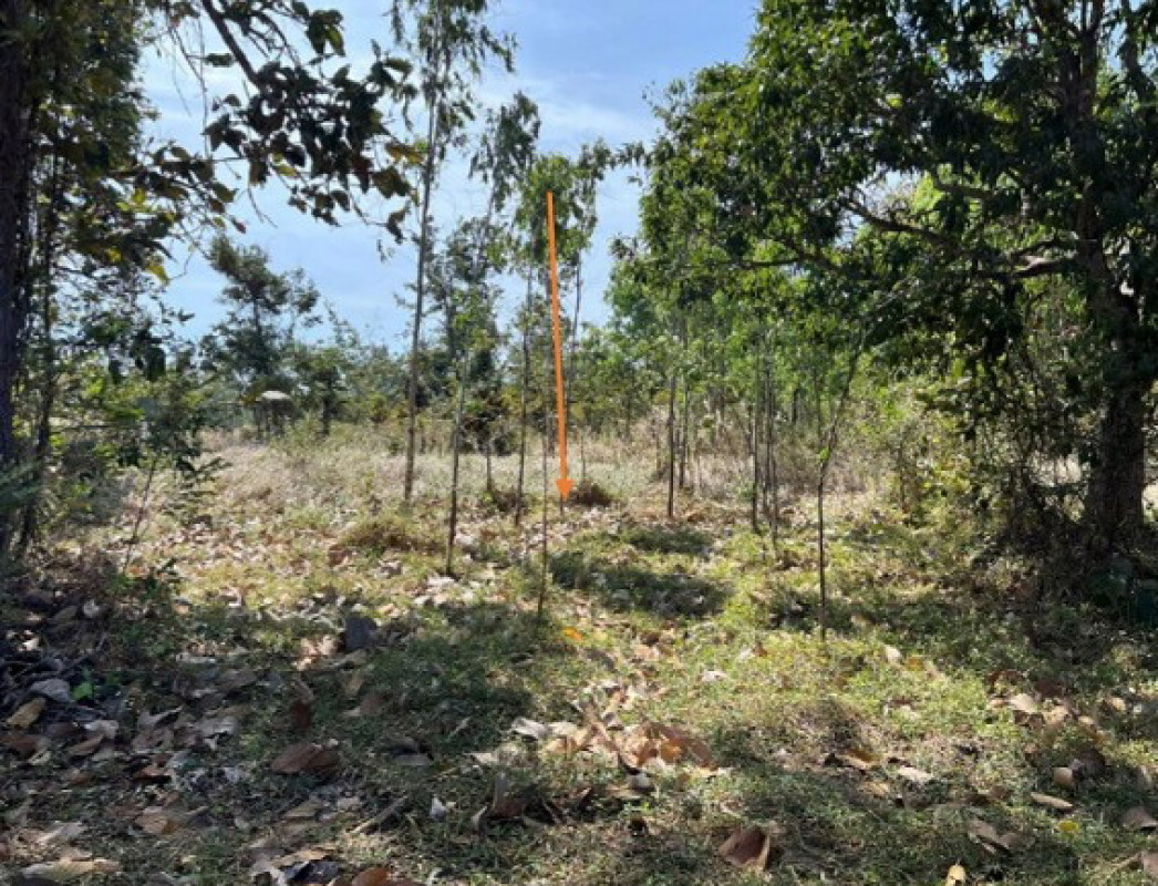 ที่ดินเปล่า อำนาจเจริญ พนา จานลาน 104000