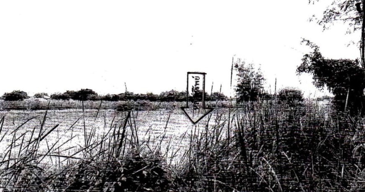 ที่ดินเปล่า นครปฐม พุทธมณฑล คลองโยง 501800