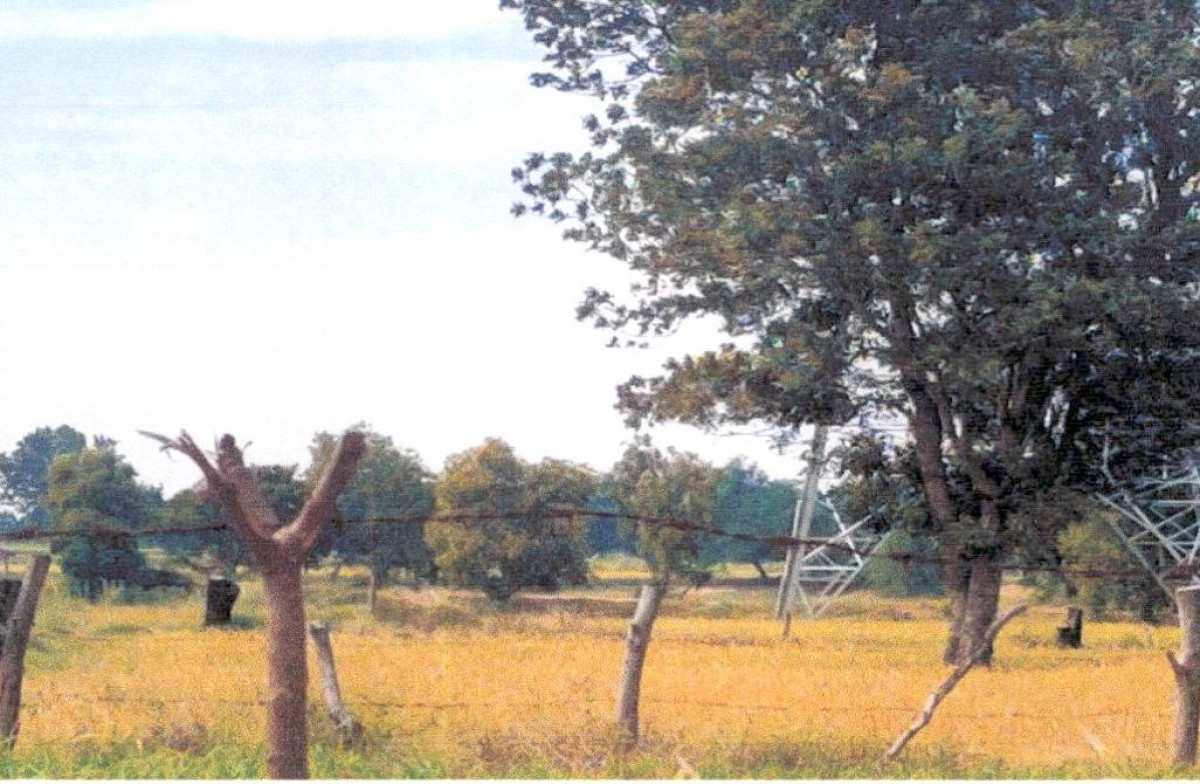 ที่ดินเปล่า ร้อยเอ็ด ศรีสมเด็จ หนองใหญ่ 240000