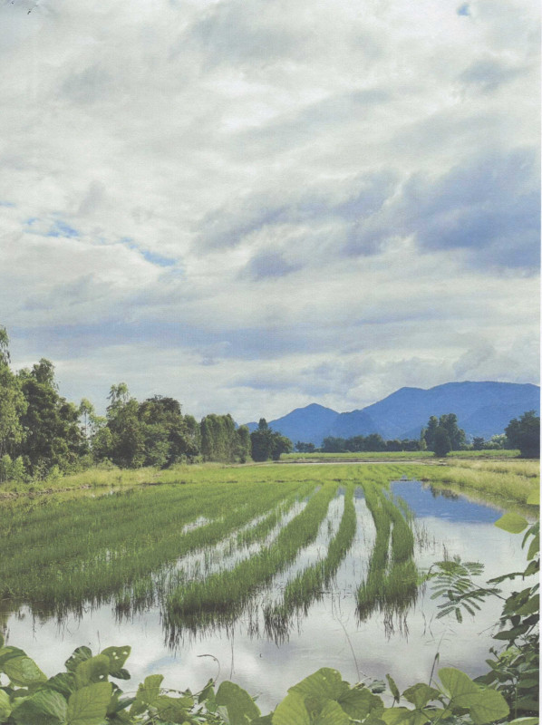 ที่ดินเปล่า นครสวรรค์ โกรกพระ บางประมุง 2237800