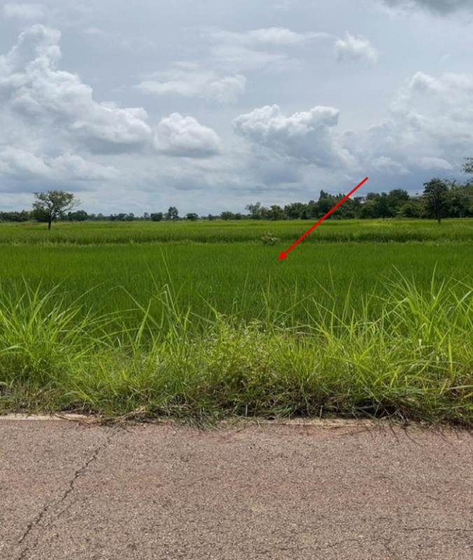 ที่ดินเปล่า สกลนคร เมืองสกลนคร หนองลาด 43930