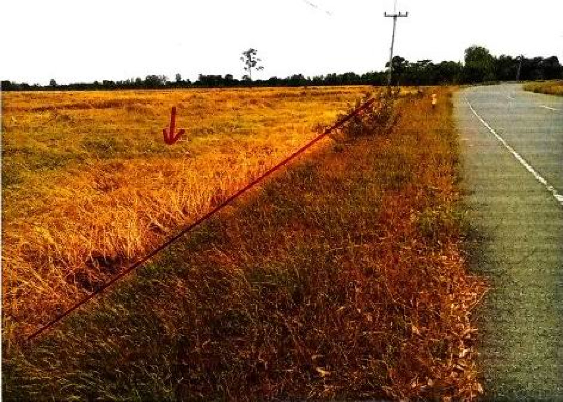 ที่ดินเปล่า สุรินทร์ รัตนบุรี น้ำเขียว 486000