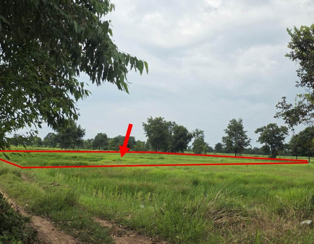 ที่ดินเปล่า สระแก้ว วัฒนานคร วัฒนานคร 176000