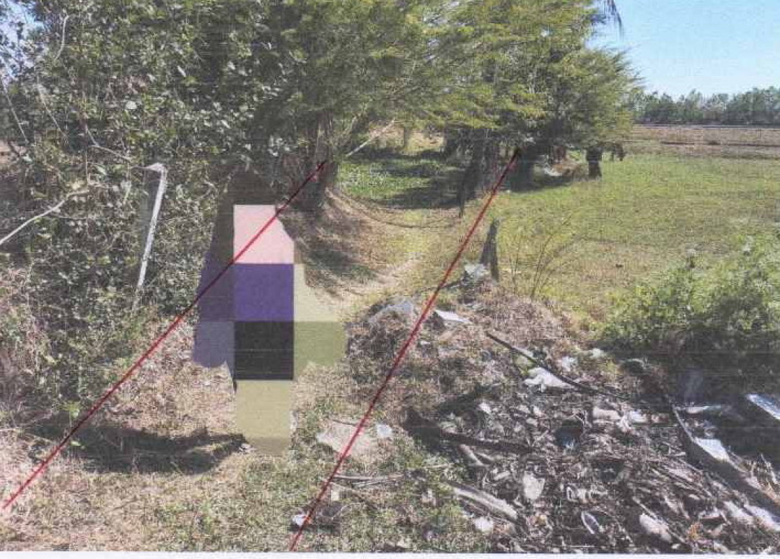 ที่ดินเปล่า สุรินทร์ รัตนบุรี แก 18450