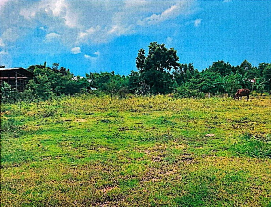 ที่ดินเปล่า ร้อยเอ็ด เกษตรวิสัย หนองแวง 148000