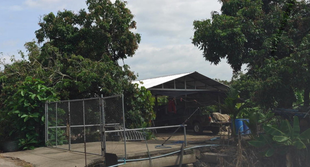 บ้านเดี่ยว เชียงใหม่ หางดง หารแก้ว 1181940