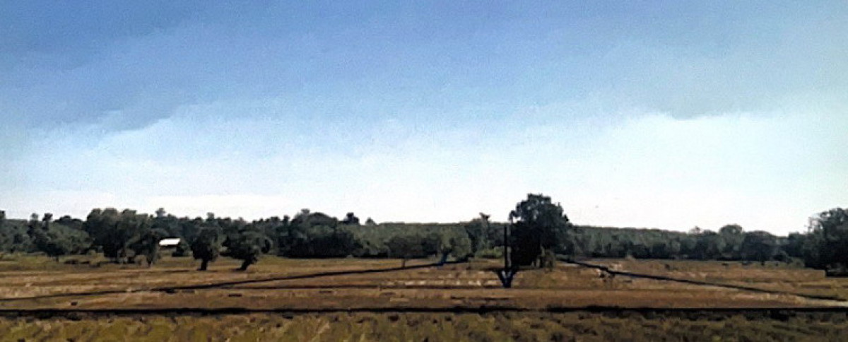 ที่ดินเปล่า สุรินทร์ จอมพระ บ้านผือ 560020