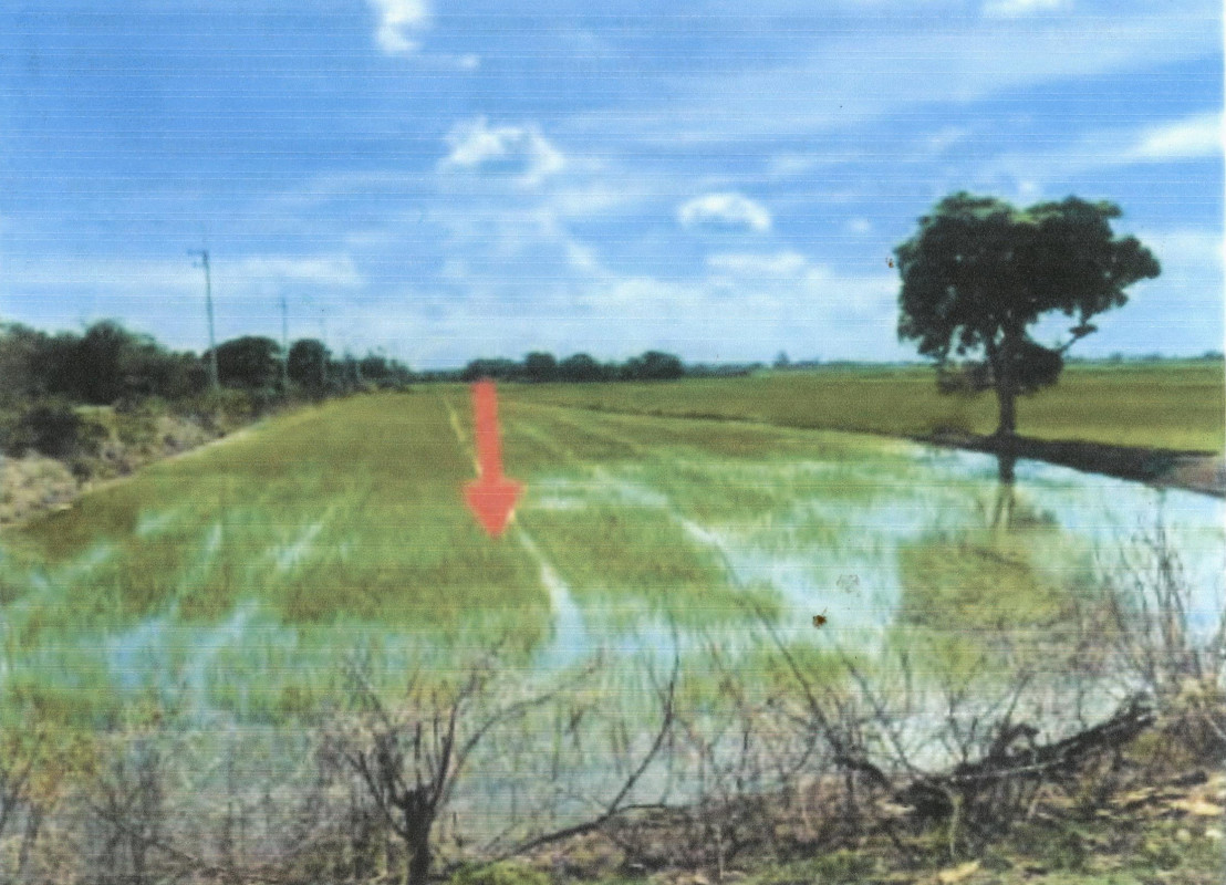 ที่ดินเปล่า พระนครศรีอยุธยา เสนา รางจรเข้ 1989000