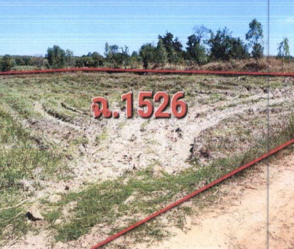 ที่ดินเปล่า บุรีรัมย์ ชำนิ ละลวด 298500