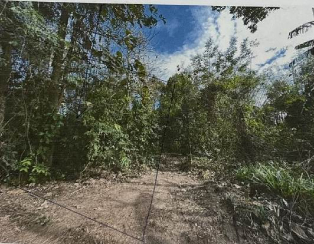 ที่ดินเปล่า พิษณุโลก นครไทย นครไทย 2076000