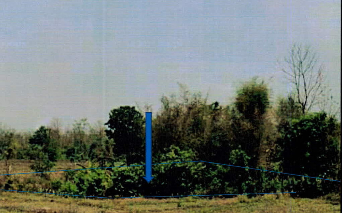 ที่ดินเปล่า ลำปาง แม่ทะ บ้านกิ่ว 93000