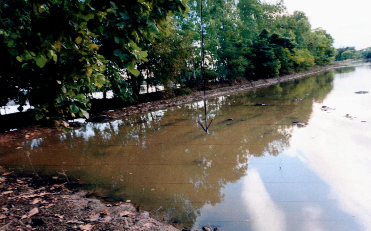 ที่ดินเปล่า พิษณุโลก บางระกำ ชุมแสงสงคราม 40200