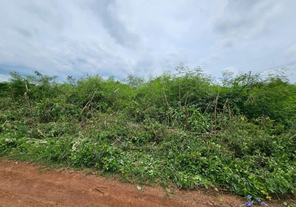 ที่ดินเปล่า นครปฐม กำแพงแสน รางพิกุล 47500