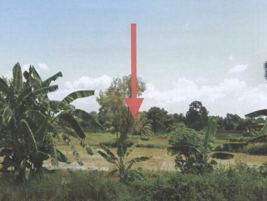 Residential land/lot Pattani Mayo Ko Chan 73125