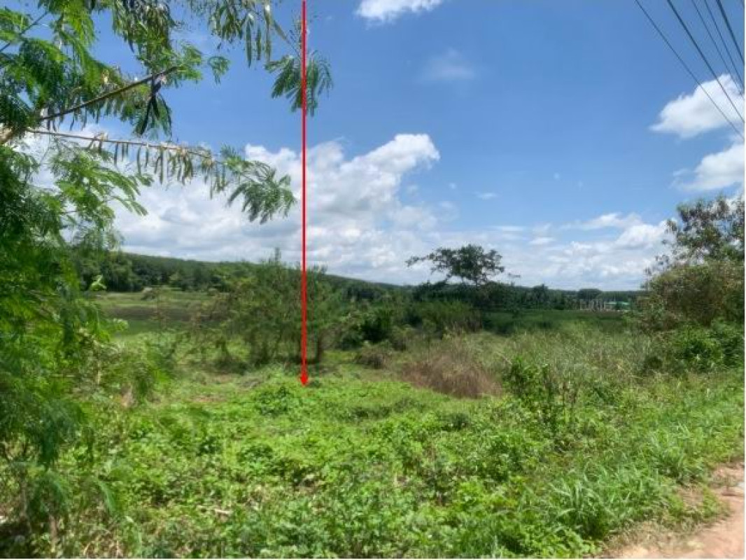 ที่ดินเปล่า พะเยา ภูซาง เชียงแรง 625300