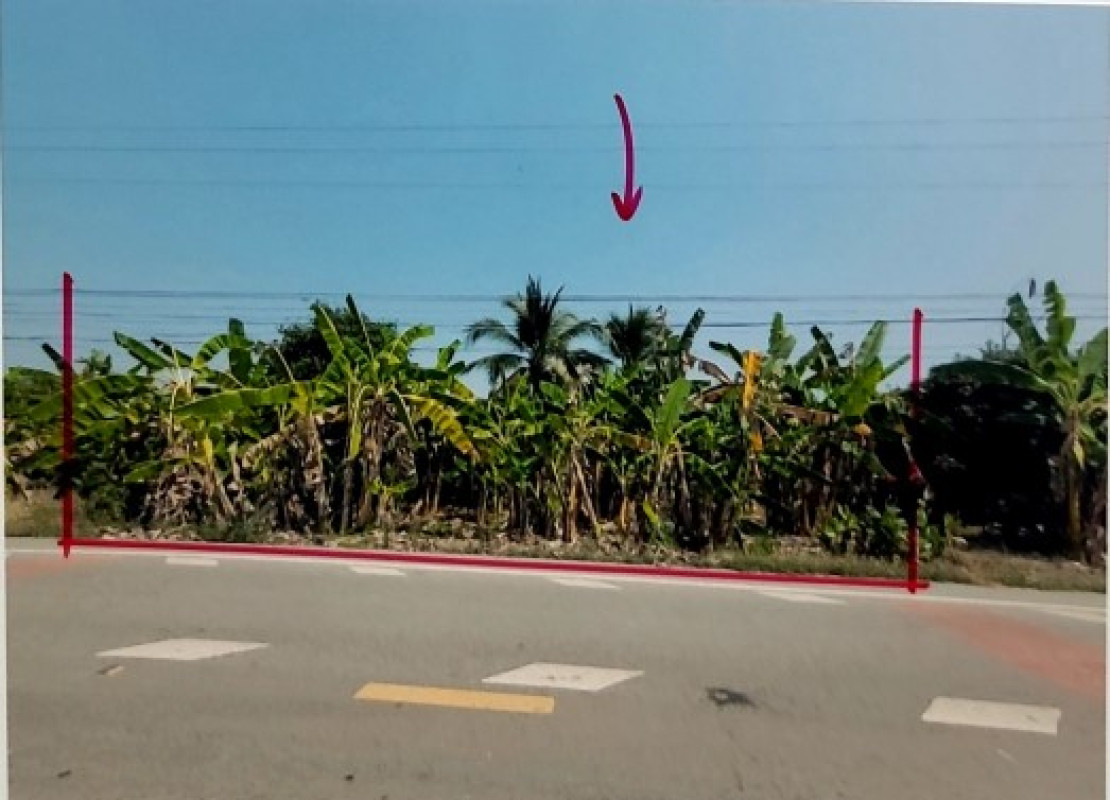 ที่ดินเปล่า พิษณุโลก พรหมพิราม หนองแขม 556950