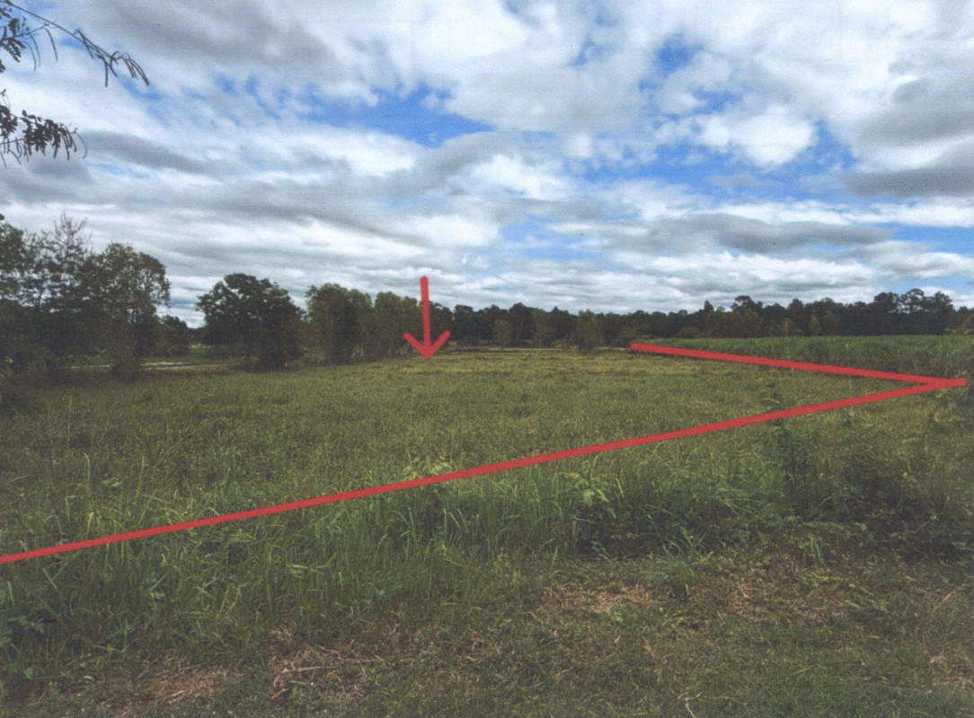 ที่ดินเปล่า สุรินทร์ รัตนบุรี ไผ่ 326600