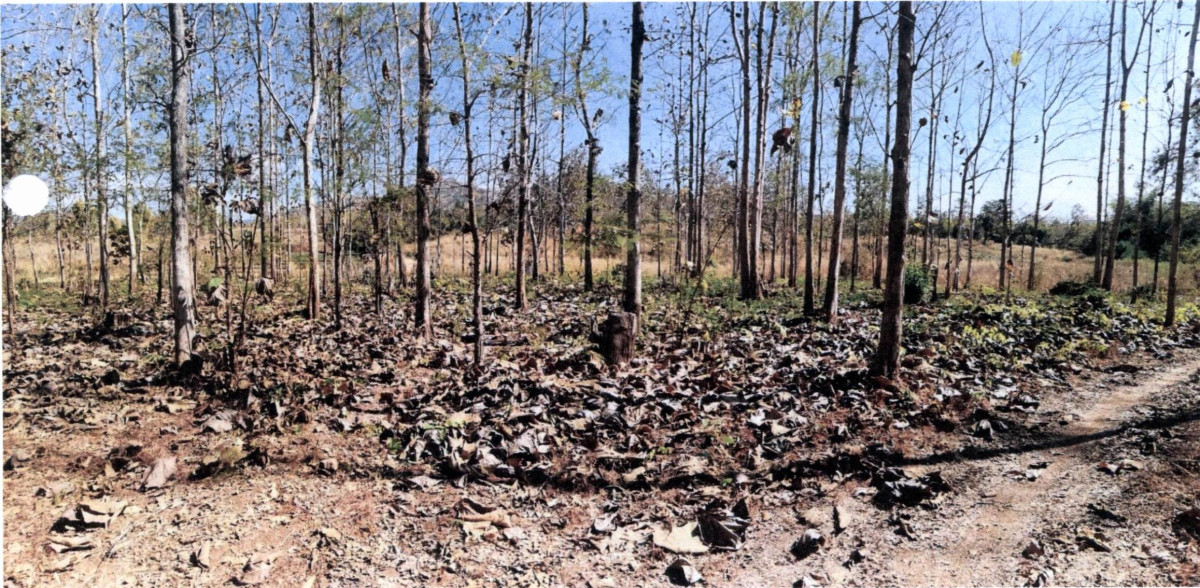 ที่ดินเปล่า ลำปาง แม่เมาะ นาสัก 182280