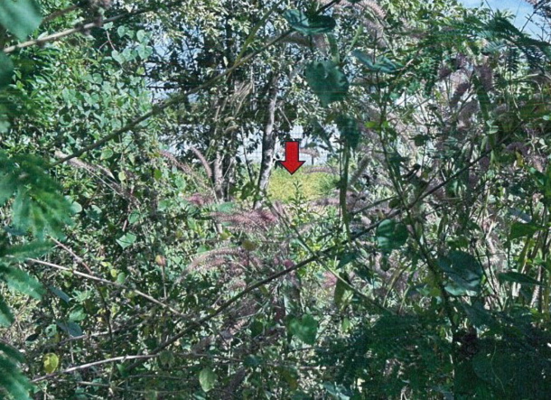 ที่ดินเปล่า ร้อยเอ็ด ธวัชบุรี มะอึ 53250