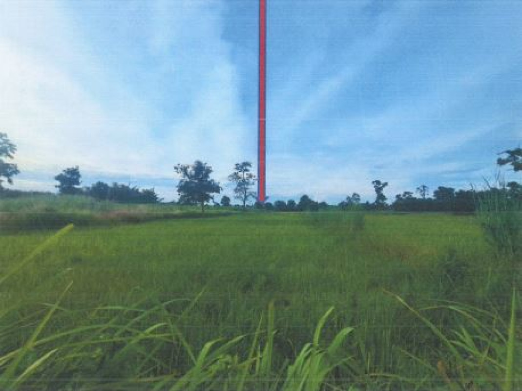 ที่ดินเปล่า อุดรธานี บ้านดุง อ้อมกอ 367800