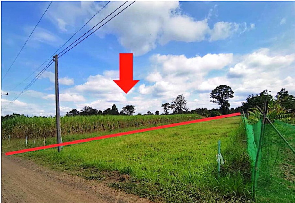 ที่ดินเปล่า บุรีรัมย์ นางรอง หนองโบสถ์ 286275