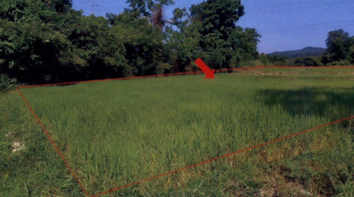 ที่ดินเปล่า แพร่ ร้องกวาง แม่ทราย 533520