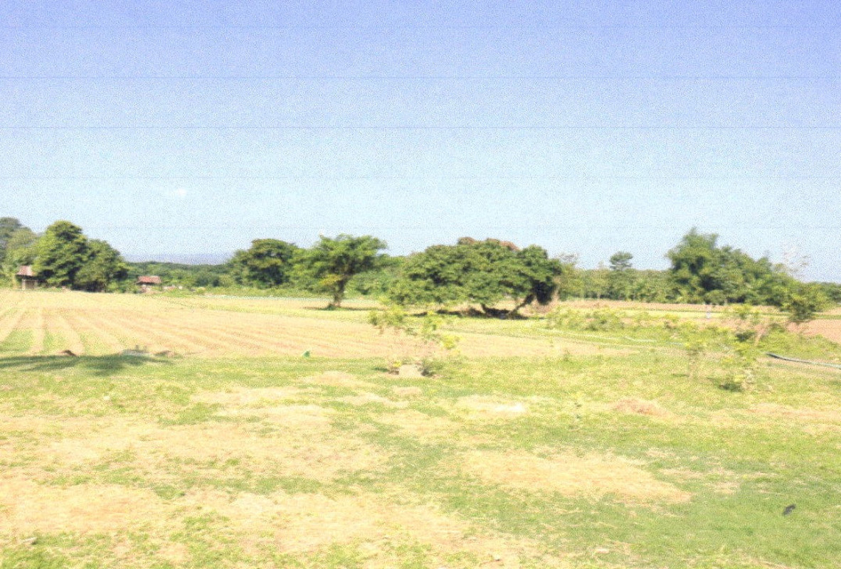 ที่ดินเปล่า แพร่ เมืองแพร่ ทุ่งกวาว 63600