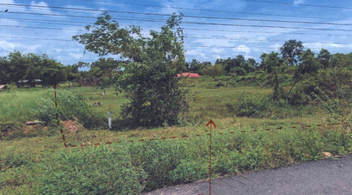 ที่ดินเปล่า สุรินทร์ ท่าตูม บะ 223300