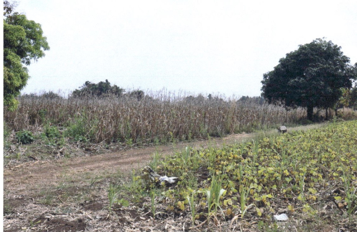 ที่ดินเปล่า แพร่ วังชิ้น นาพูน 163750