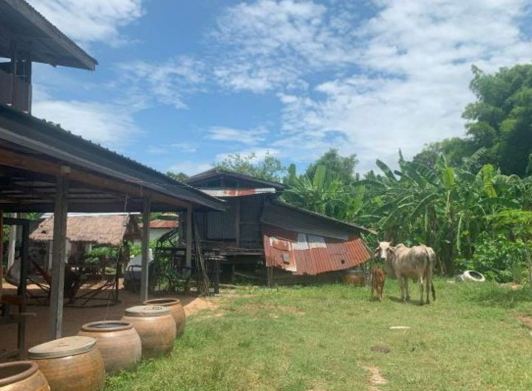 บ้านเดี่ยว มหาสารคาม พยัคฆภูมิพิสัย เวียงสะอาด 512846