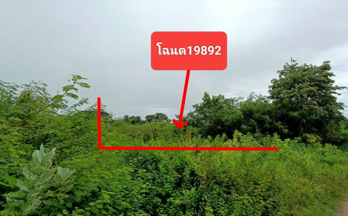 ที่ดินเปล่า นครราชสีมา ขามทะเลสอ บึงอ้อ 36000