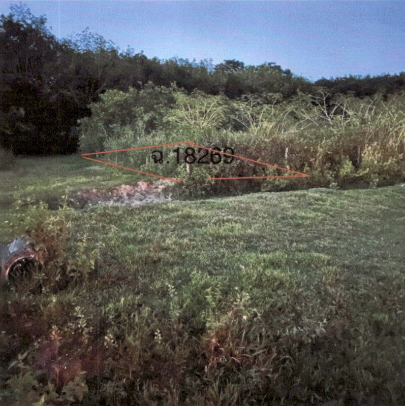 ที่ดินเปล่า พัทลุง ป่าบอน ป่าบอน 137500