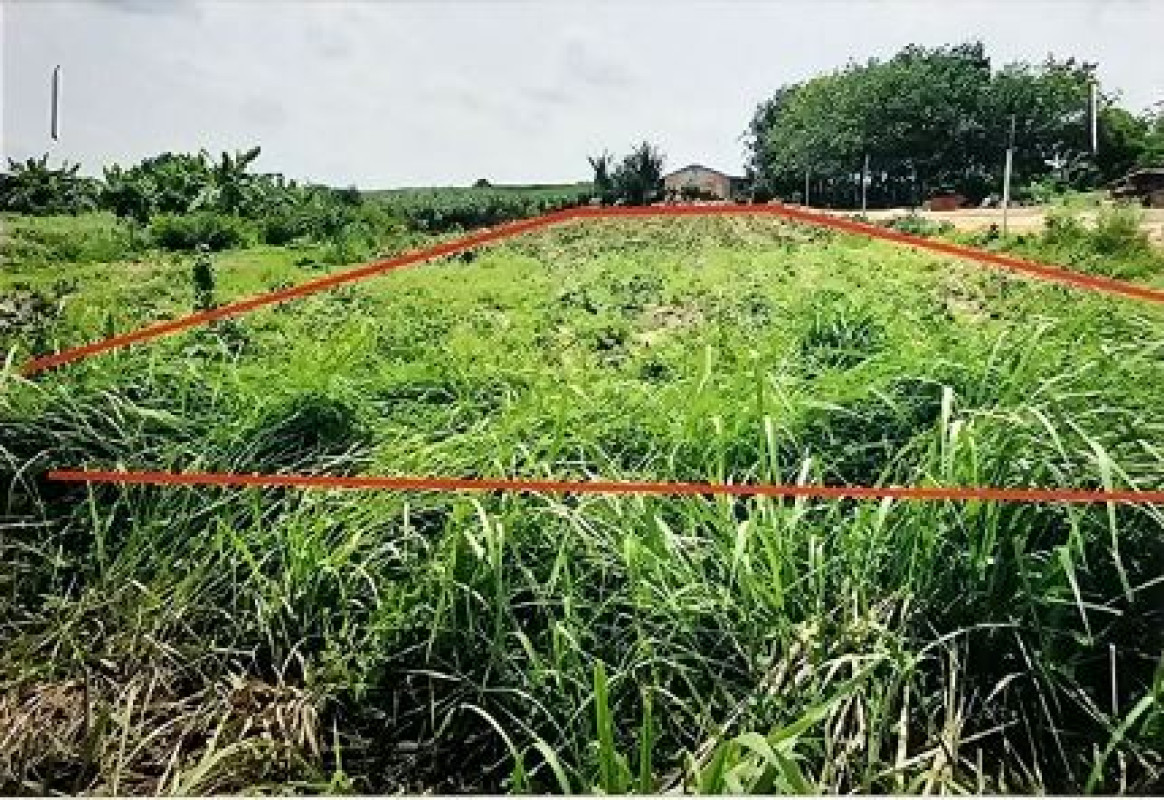 ที่ดินเปล่า อุดรธานี วังสามหมอ คำโคกสูง 504400