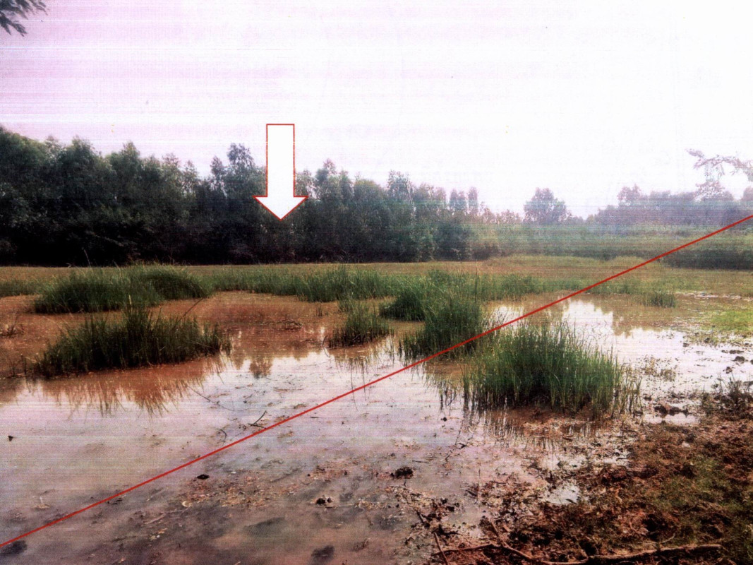 ที่ดินเปล่า สุรินทร์ ชุมพลบุรี ยะวึก 957960