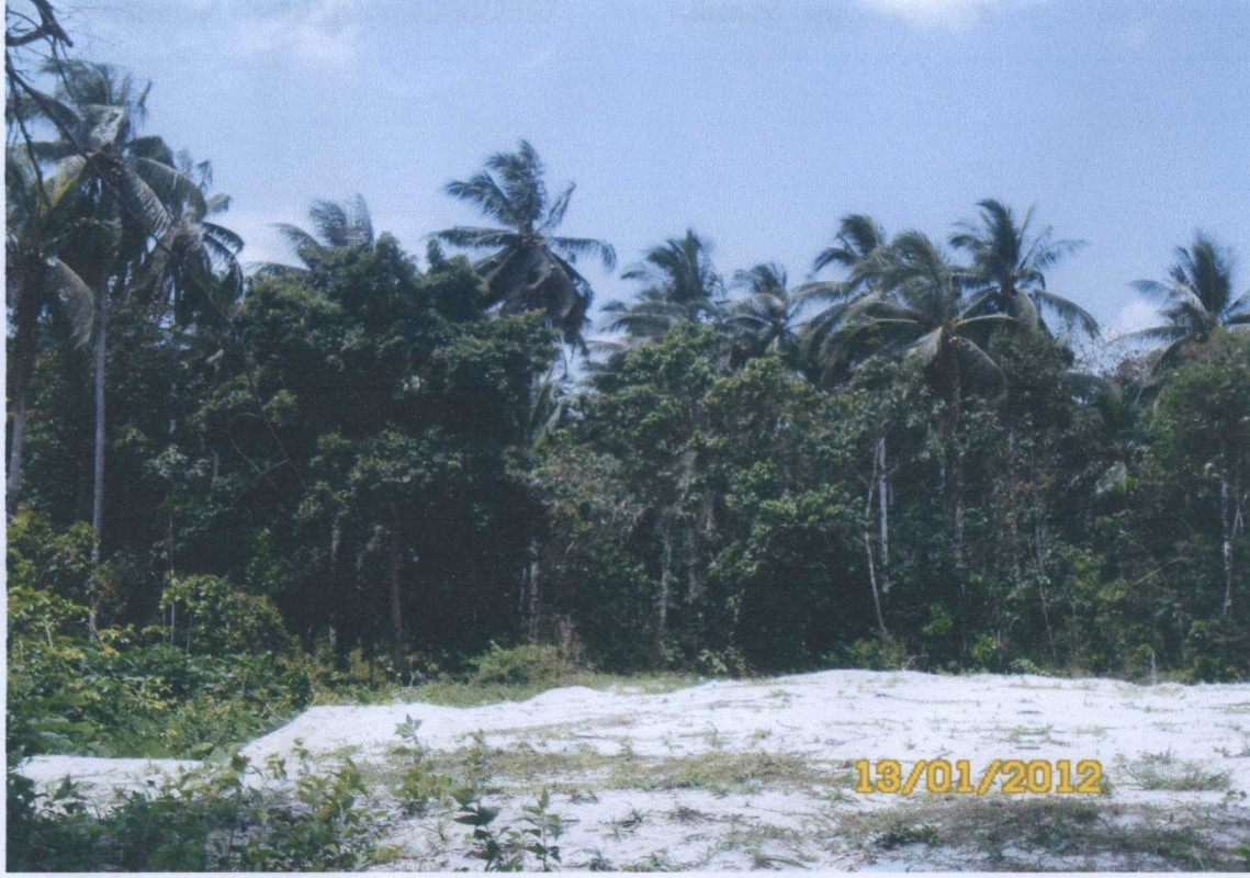 ที่ดินเปล่า ยะลา รามัน เกะรอ 288990