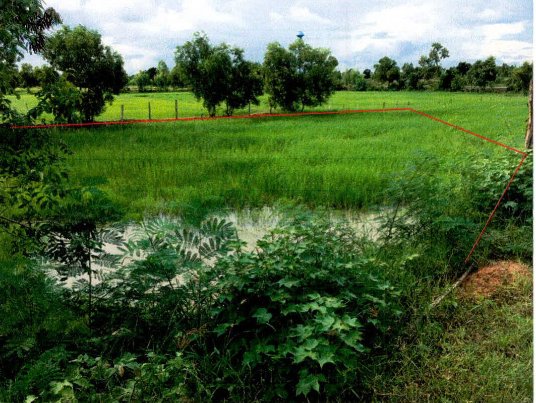 ที่ดินเปล่า ร้อยเอ็ด จตุรพักตรพิมาน อีง่อง 177500