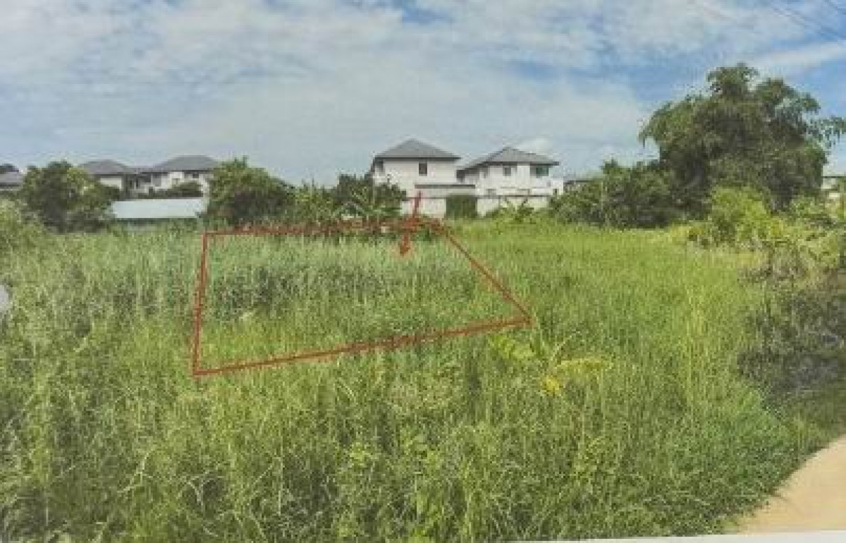 ที่ดินเปล่า พิษณุโลก เมืองพิษณุโลก วัดจันทร์ 18750