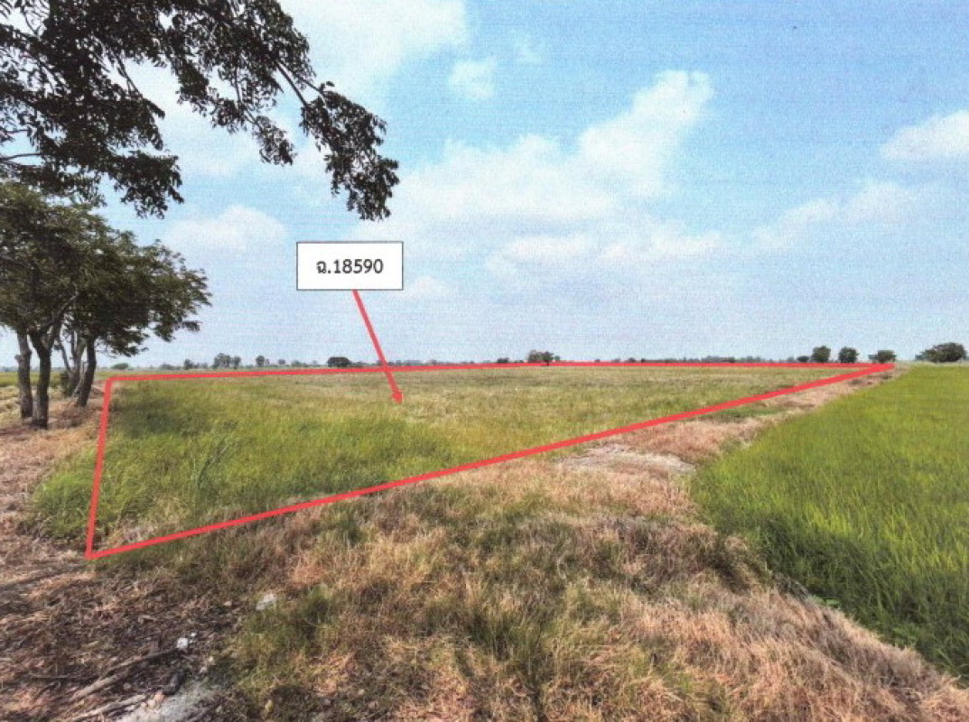 Residential land/lot Phichit Sam Ngam Rang Nok 1038525