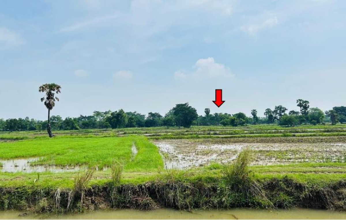 Residential land/lot Nakhon Ratchasima Non Sung Makha 321750