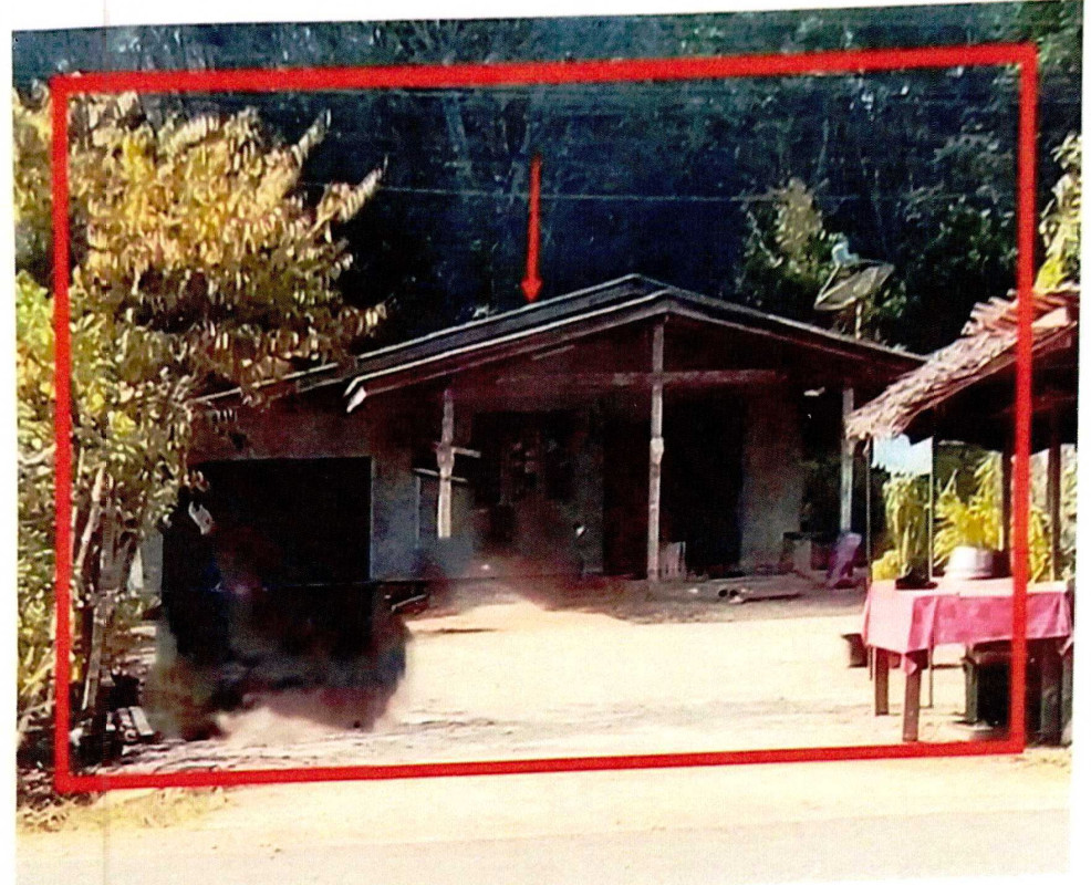 บ้านเดี่ยว สุราษฎร์ธานี พนม พนม 732936