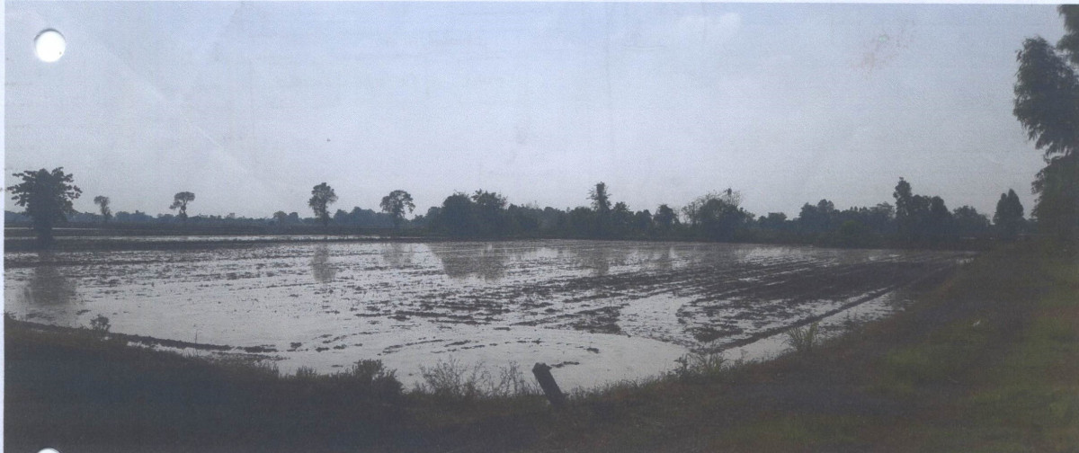 ที่ดินเปล่า พิจิตร บางมูลนาก ลำประดา 383250