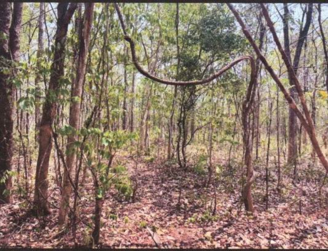 ที่ดินเปล่า สกลนคร เจริญศิลป์ เจริญศิลป์ 41000