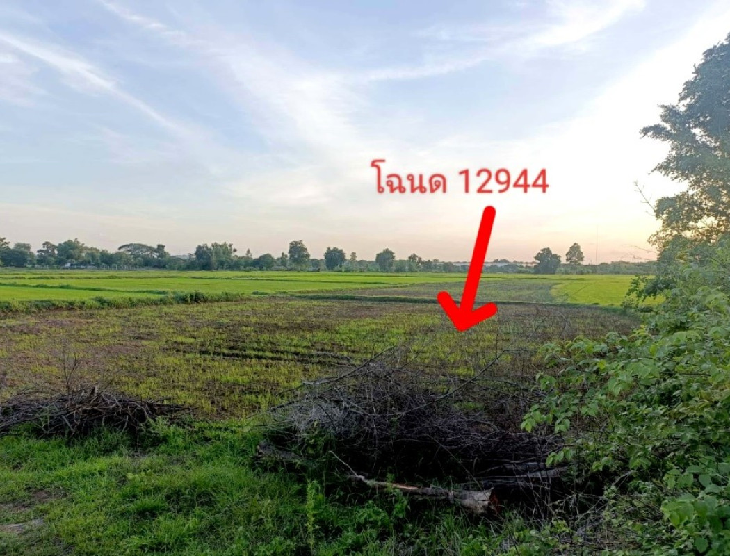 ที่ดินเปล่า บุรีรัมย์ เมืองบุรีรัมย์ บ้านยาง 275000