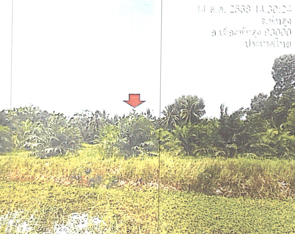 ที่ดินเปล่า พัทลุง เมืองพัทลุง ชัยบุรี 108125