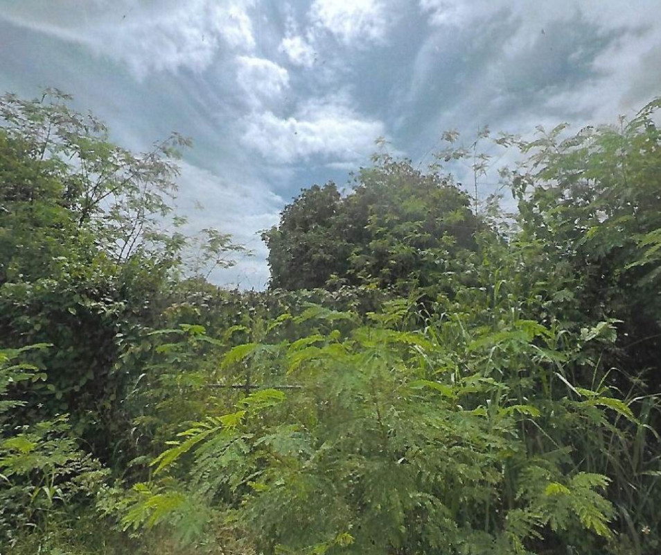 ที่ดินเปล่า ลำพูน บ้านโฮ่ง ป่าพลู 461958