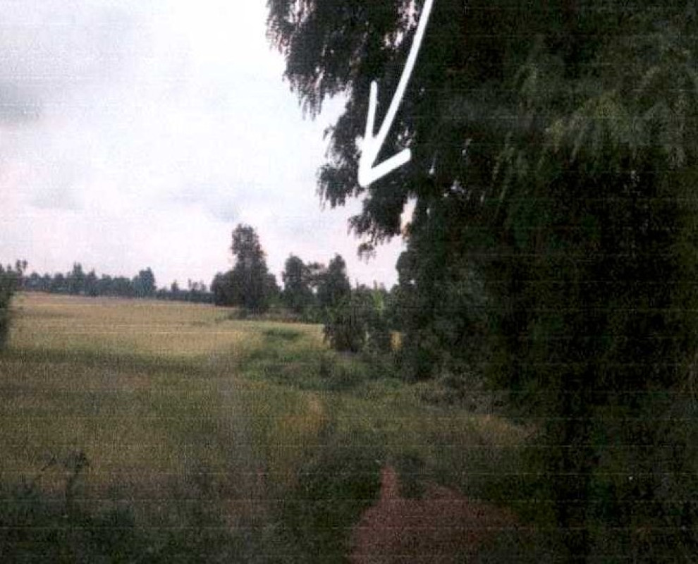 ที่ดินเปล่า พระนครศรีอยุธยา ท่าเรือ จำปา 1657200